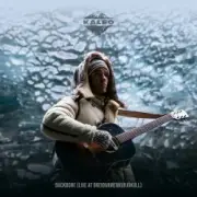 Обложка: Kaleo - Backbone