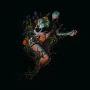 Обложка: Roniit - Epiphyte