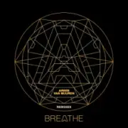 Обложка: Armin van Buuren & Gryffin - What Took You So Long (Yetti Remix)