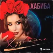 Обложка: Хабиба - Художник