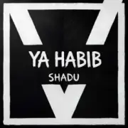 Обложка: SHADU - Al Noor