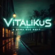 Обложка: ViTaLiKuS - А дома всё ждут...
