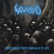 Обложка: Woundead - Lunatic Bat Necrophagy