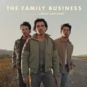 Обложка: Jonas Brothers - Sucker