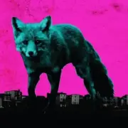 Обложка: The Prodigy - Wild Frontier (Instrumental)