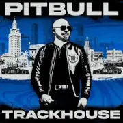 Обложка: Pitbull feat. T-Pain & El Micha - Lit In The City