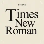 Обложка: eyfect - Times New Roman