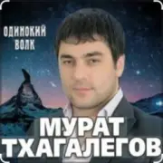Обложка Мурат Тхагалегов – Одинокий волк