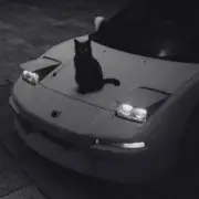 Обложка: supwel - "not alone" (chill, wave vibe)