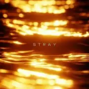 Обложка R3DN1K – Stray