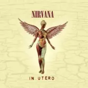 Обложка: Nirvana - Serve The Servants