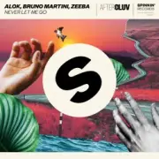 Обложка: Alok, Bruno Martini, Zeeba - Never Let Me Go
