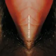 Обложка: Venetian Snares - Duffy