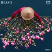 Обложка: Besso - Zelda