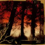 Обложка: Тiтло - Не забыли поля