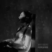 Обложка: The HARDKISS - Журавлі