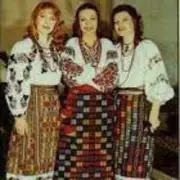 Обложка: Тріо Либідь - Зеленеє жито