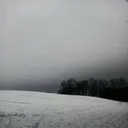 Обложка: Гошуля - Зимую