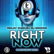 Deejay Shaolin & DJ Brownie - Right Now