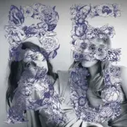Обложка: Bipolar Sunshine - Trouble