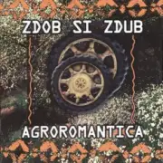 Обложка: Zdob și Zdub - Doina haiducului