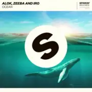 Обложка: Alok - Always Feel Like