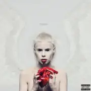 Обложка: Die Antwoord - Never Le Nkemise 1