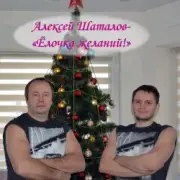 Обложка: Алексей Шаталов - Ёлочка желаний