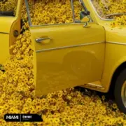 Обложка: Zmeex - Eternal