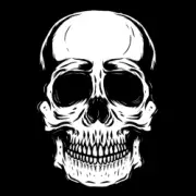 Обложка: PHo4JK - ZiiiOUA