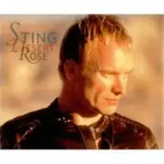 Обложка: Sting & Feat Cheb Mami - Desert Rose