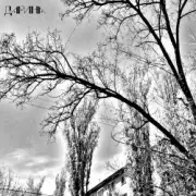 Обложка: TheNobleMan - фантазия