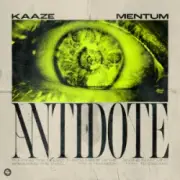 Обложка: KAAZE & Mentum - Antidote