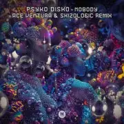 Обложка: Psyko Disko - Nobody (Ace Ventura & Skizologic Remix)