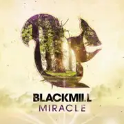 Обложка: Blackmill - Lucid Truth