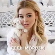 Обложка: Алина Гросу - Деды морозы