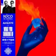Обложка: Nico de Andrea & AUGUSTE & Mougleta - What You Thinking Of