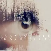 Обложка: Evanescence - Bring Me to Life (Synthesis)