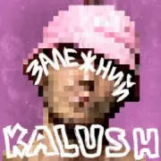 Обложка: KALUSH - Залежний