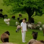 Обложка: ХАС - Так не чесно