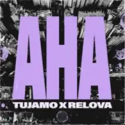 Обложка Tujamo & Relova – Aha