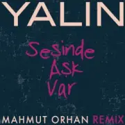 Обложка: Yalin - Sesinde Aşk Var (Mahmut Orhan Remix)