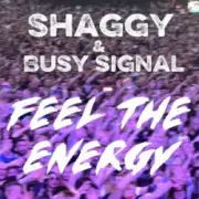 Обложка: Shaggy & Busy Signal - Feel The Energy