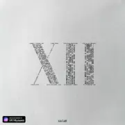 Обложка: MACAN & Честный - Майами 2