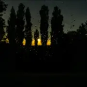 Обложка: ALEKCION - І я біжу