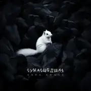 KARA KROSS - Сумасшедшая