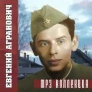 Обложка: Евгений Агранович - Офицеры