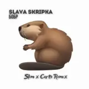 Обложка: Slava Skripka - Бобр (Slim x Corto Remix)