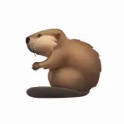 Обложка: Slava Skripka - Бобр