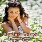 Обложка: Ярослав Смаль - Ромашка ти моя